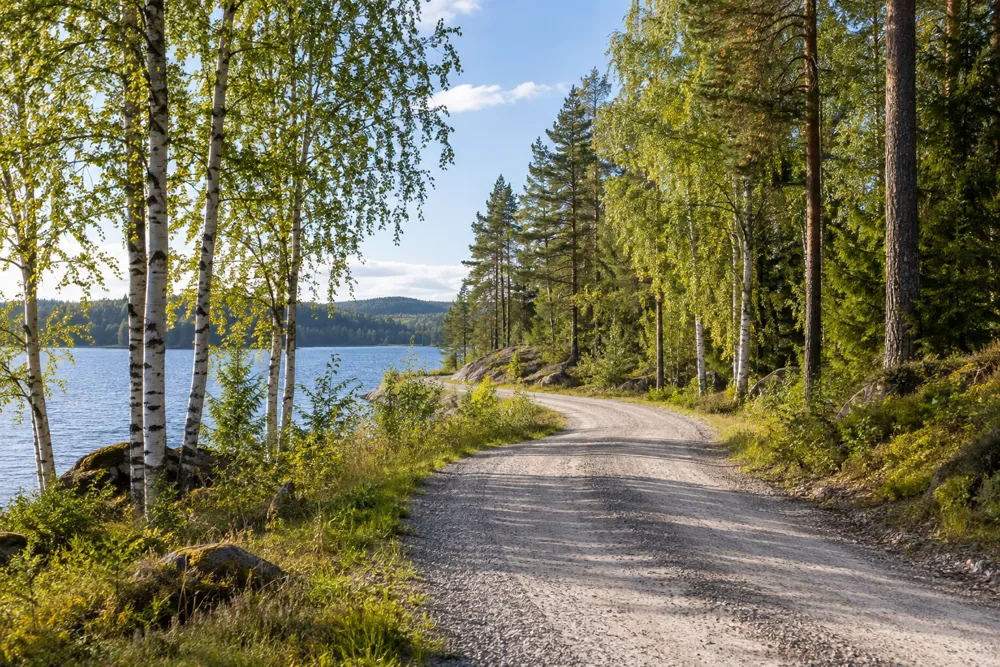 Soratie koivujen ja mäntyjen keskellä järven rannalla